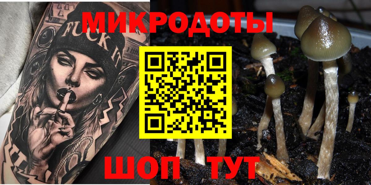 Электрогорск  Галлюциногенные грибы прущие грибы  Псилоцибиновые грибы GOLDEN TEACHER  Вход с VPN 