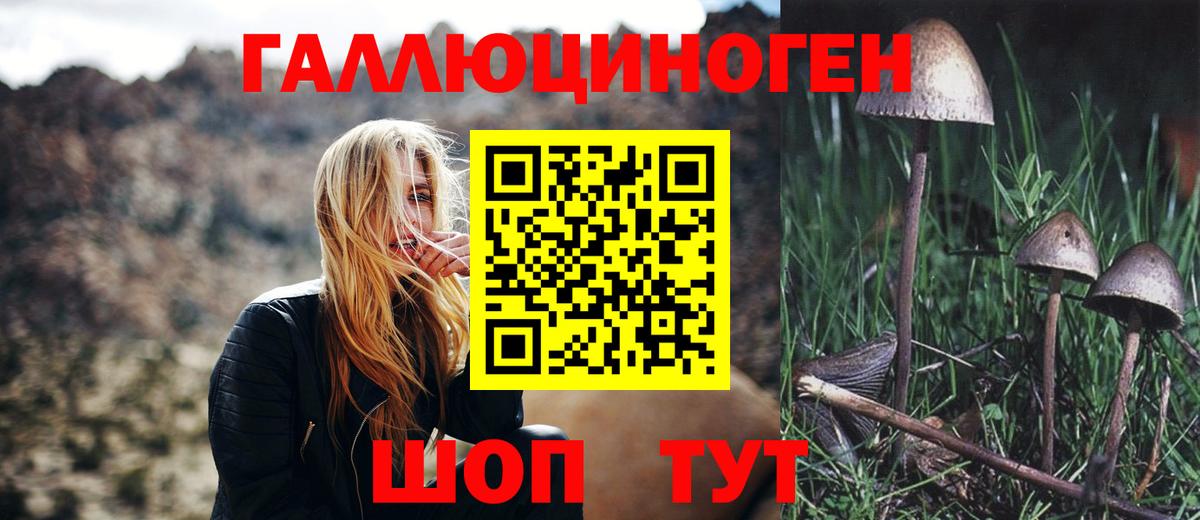Галлюциногенные грибы MAGIC MUSHROOMS Электрогорск